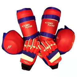 SET OF GLOVES KNEE PAD SHIN GARD HOCKEYPLAYER ECO